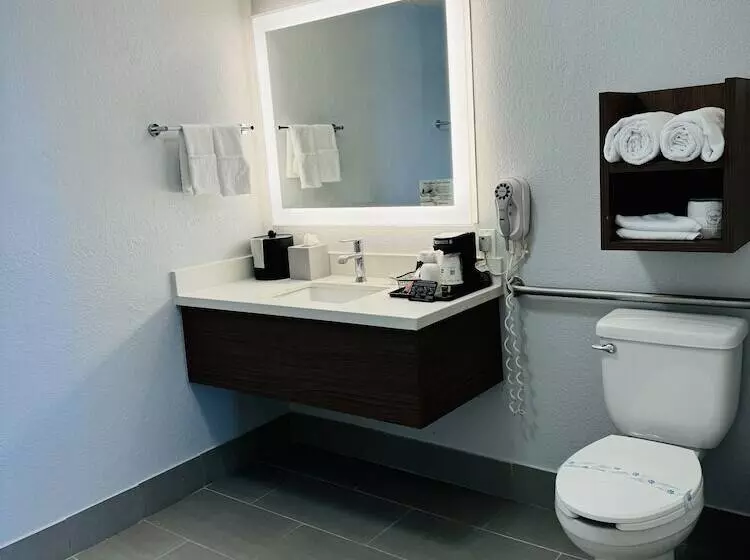 Отель Best Western Desert Winds