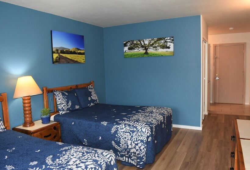 فندق Castle Waimea Country Lodge