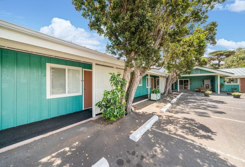 فندق Castle Waimea Country Lodge