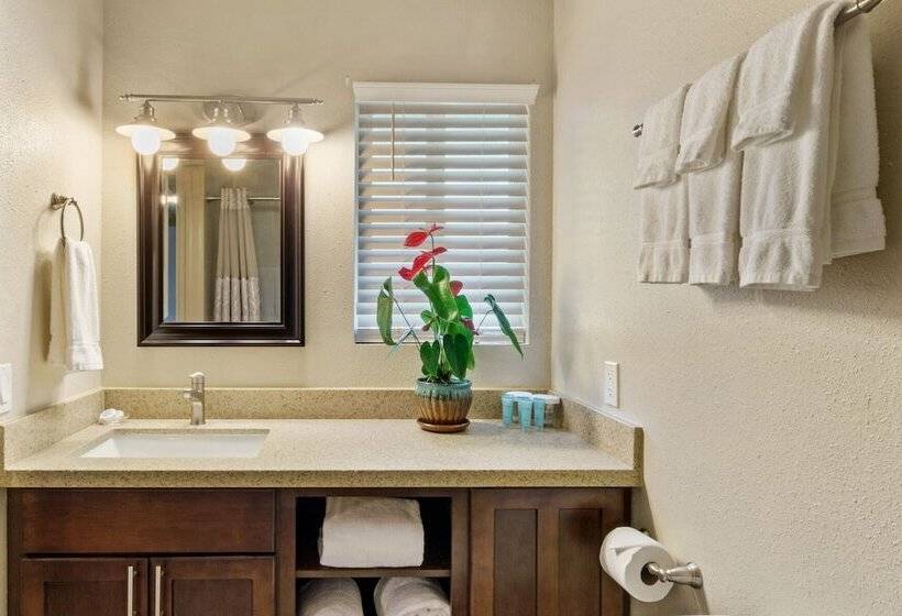 فندق Castle Waimea Country Lodge