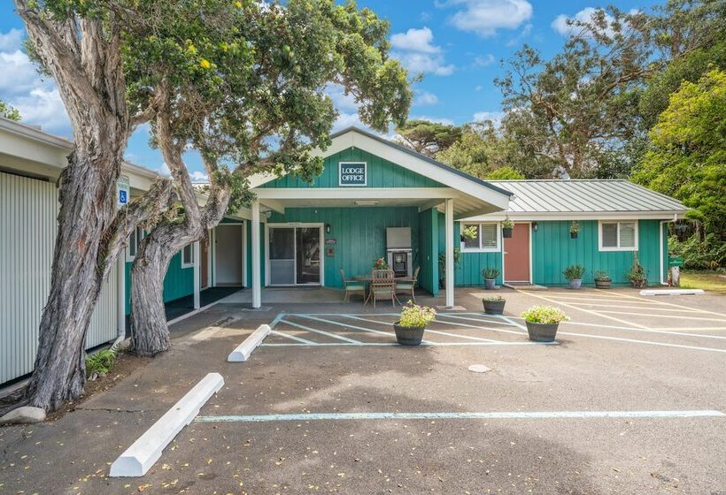 فندق Castle Waimea Country Lodge