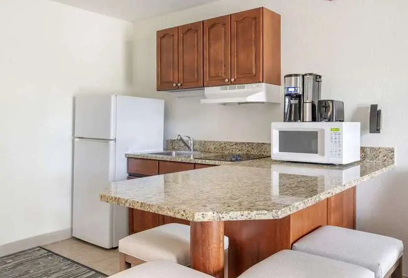 ホテル Hilton Vacation Club Varsity Club South Bend, In