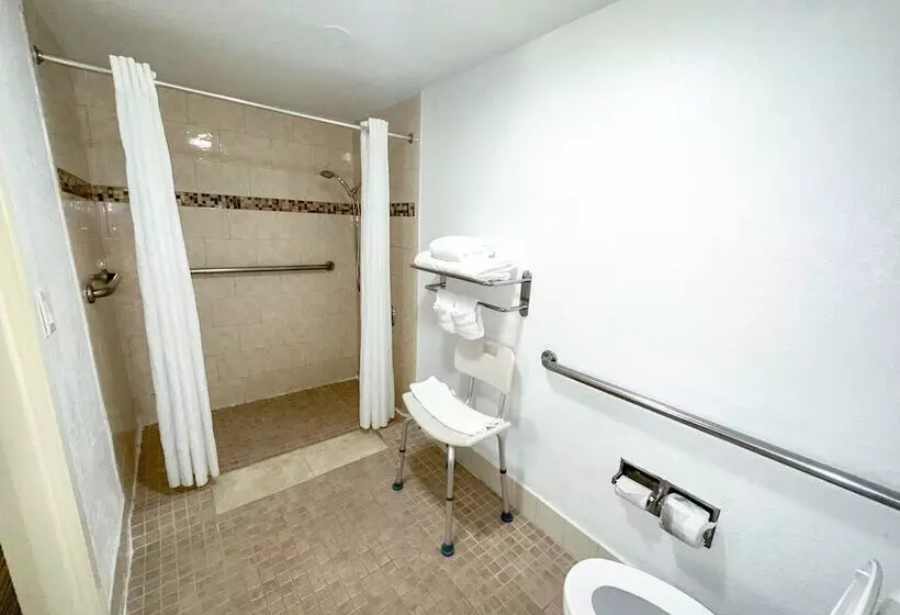 ホテル The Palms Inn & Suites Miami, Kendall, Fl