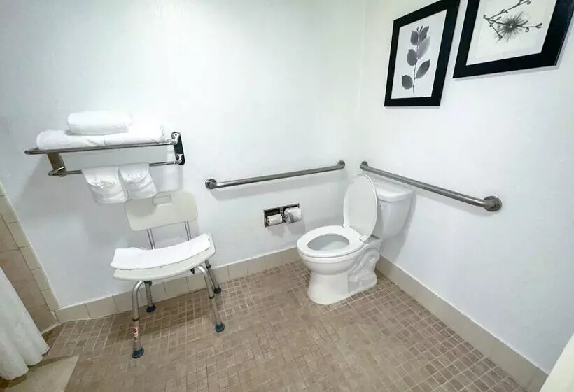 ホテル The Palms Inn & Suites Miami, Kendall, Fl