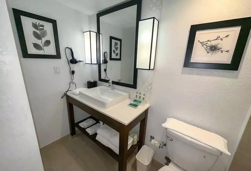 ホテル The Palms Inn & Suites Miami, Kendall, Fl