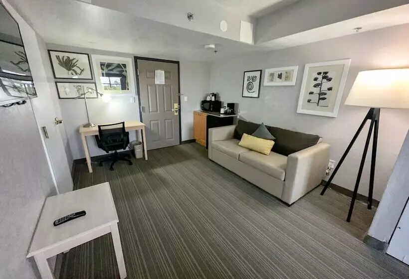 ホテル The Palms Inn & Suites Miami, Kendall, Fl