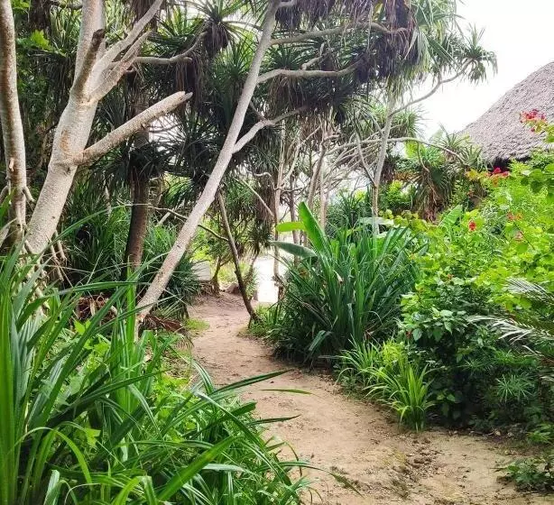 ホテル Eden Rock Zanzibar