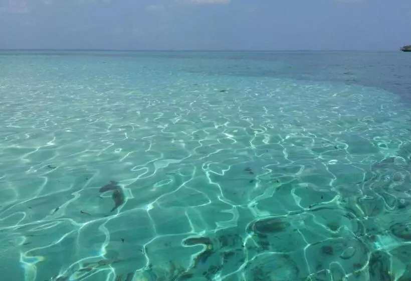 ホテル Eden Rock Zanzibar