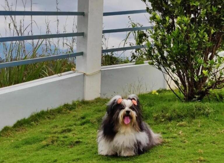 Pleasant Hill Resort