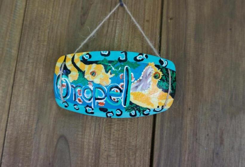 Nocleg ze śniadaniem Oski Lodge, Rain Forest Rincón De La Vieja