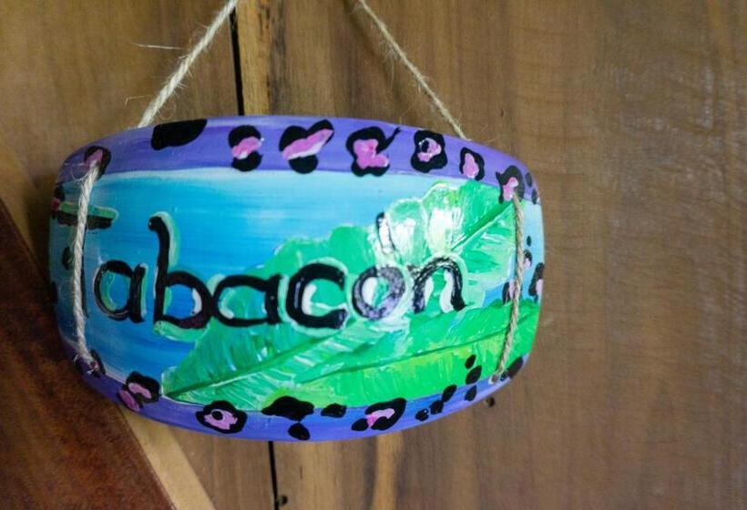 Nocleg ze śniadaniem Oski Lodge, Rain Forest Rincón De La Vieja