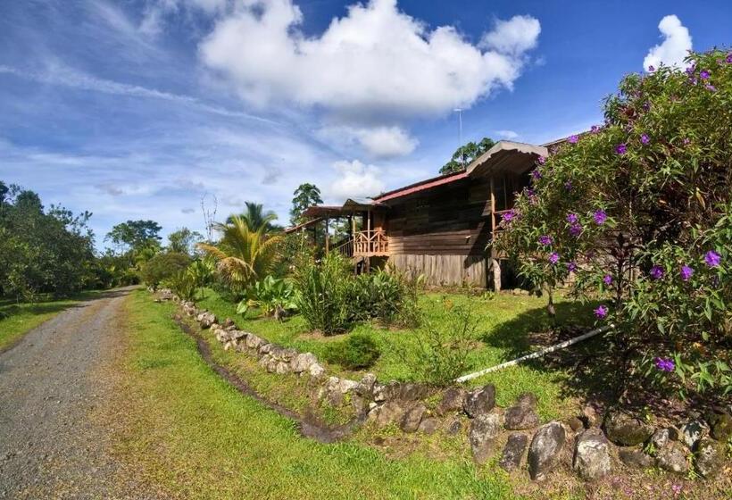 Nocleg ze śniadaniem Oski Lodge, Rain Forest Rincón De La Vieja