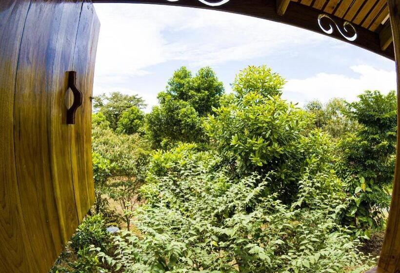 Nocleg ze śniadaniem Oski Lodge, Rain Forest Rincón De La Vieja