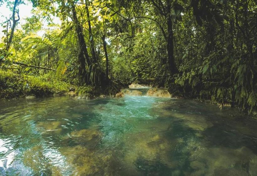 Nocleg ze śniadaniem Oski Lodge, Rain Forest Rincón De La Vieja