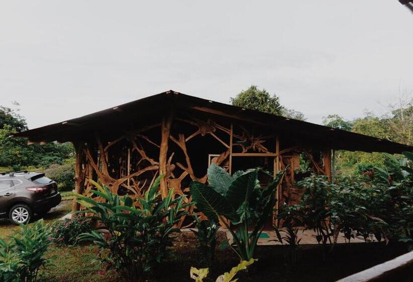 Nocleg ze śniadaniem Oski Lodge, Rain Forest Rincón De La Vieja