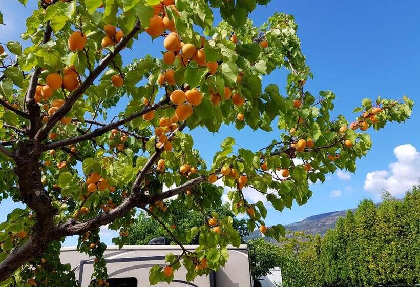 Hotel The Orchard At Oliver