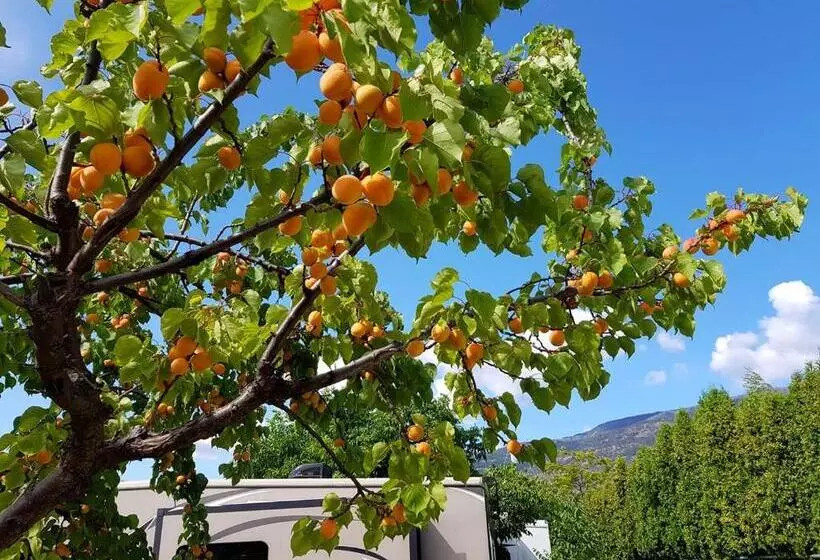 Hotelli The Orchard At Oliver