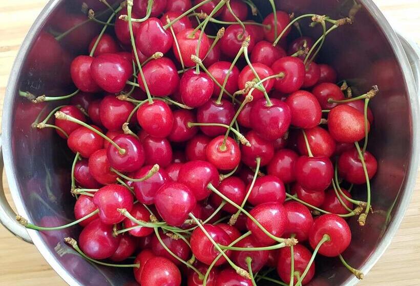 Hotel The Orchard At Oliver