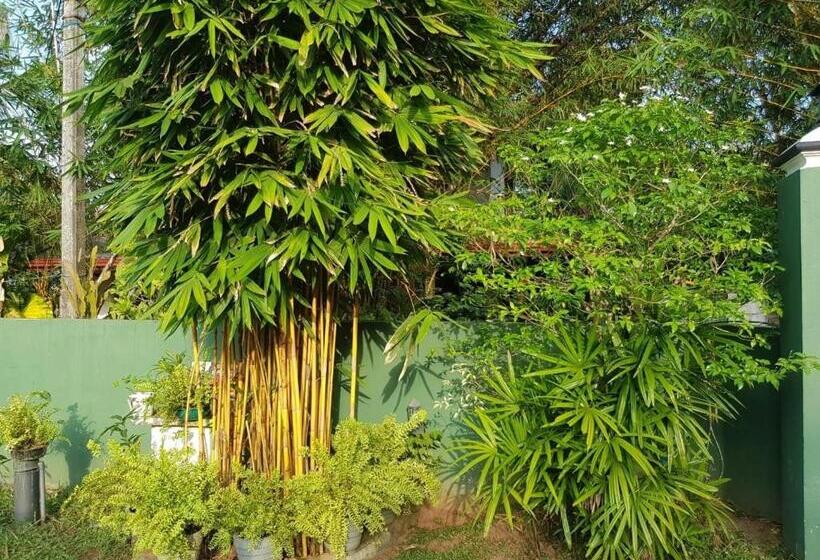 Пансион Shalomi Villas