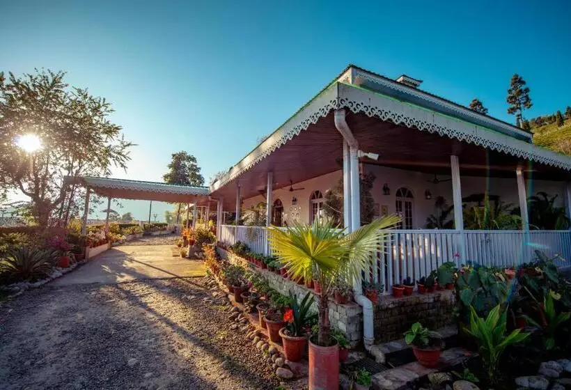 リゾートホテル The Temi Bungalow South Sikkim