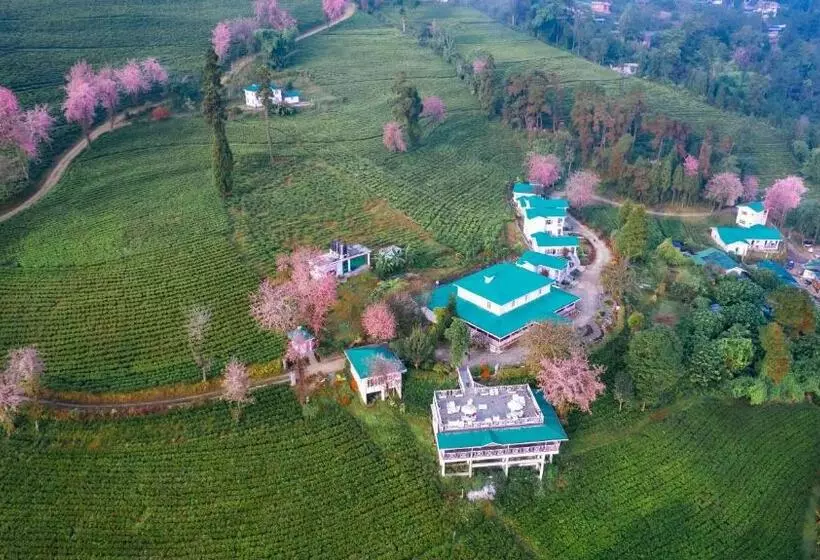 リゾートホテル The Temi Bungalow South Sikkim