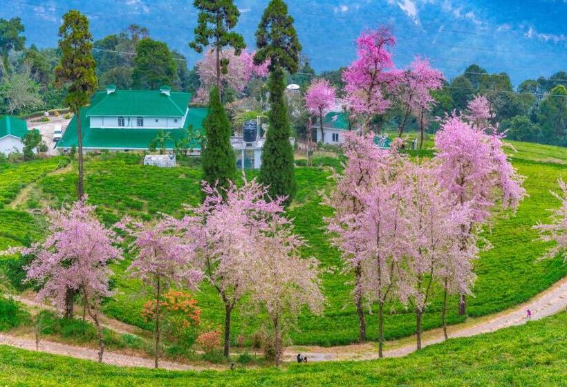 استراحتگاه The Temi Bungalow South Sikkim