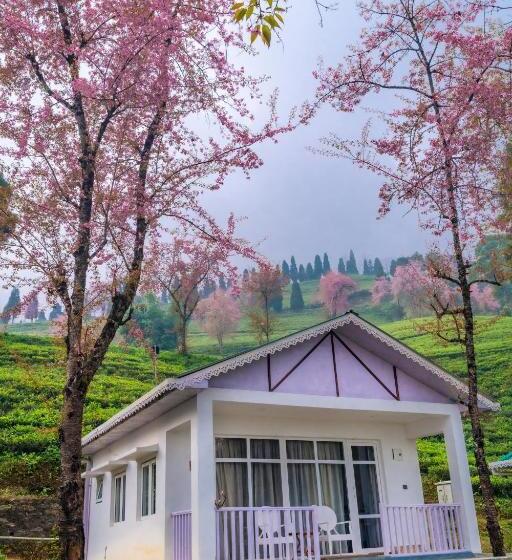 استراحتگاه The Temi Bungalow South Sikkim
