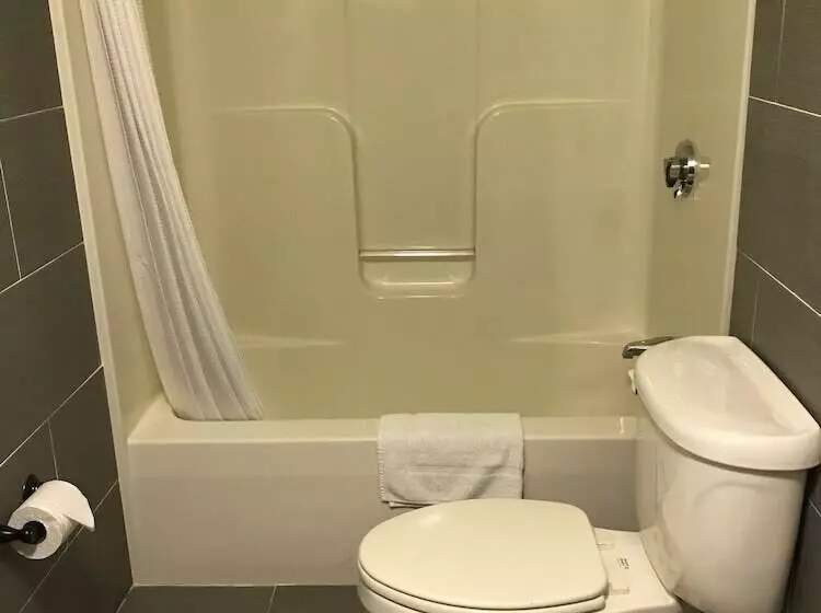 Отель Amerivu Inn & Suites