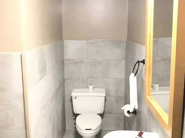 Отель Amerivu Inn & Suites