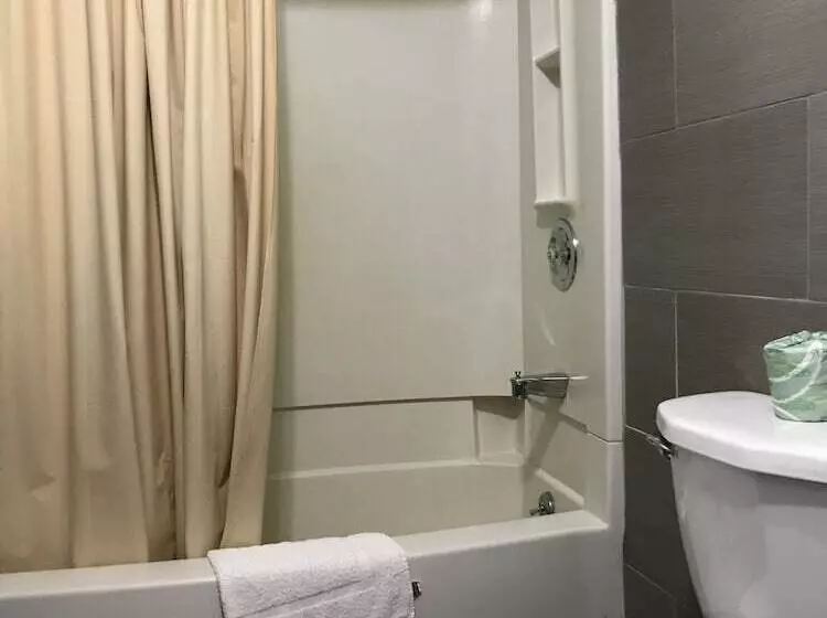 Отель Amerivu Inn & Suites