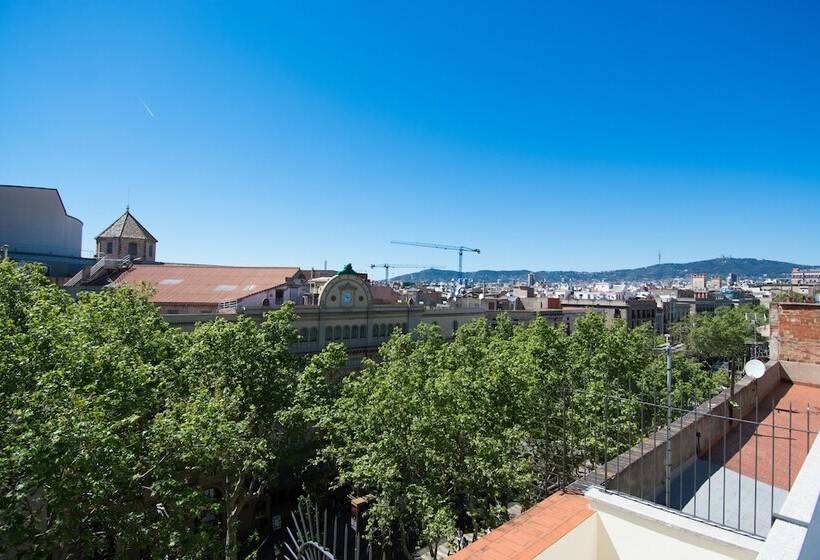 Отель Flor Parks