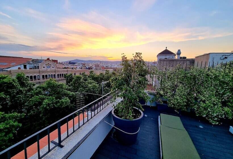 Отель Flor Parks