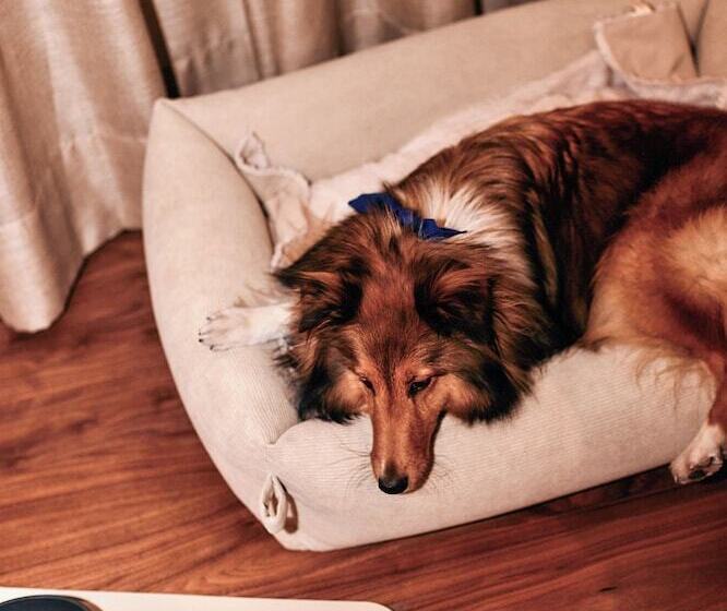 فندق Hacienda del Mar member of Meliá Collection