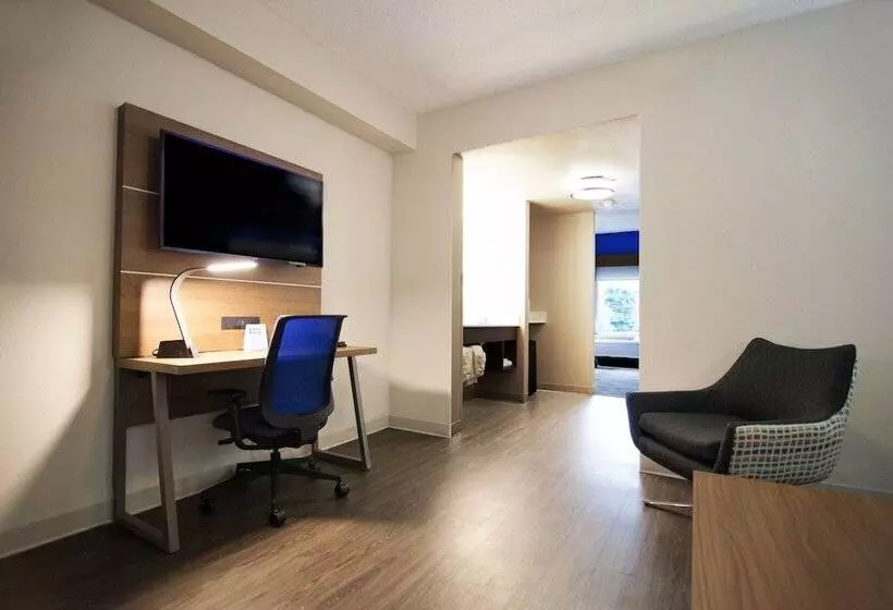 Holiday Inn Express Hotel & Suites Nashville Brentwood 65s