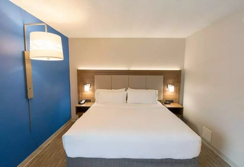 Holiday Inn Express Hotel & Suites Nashville Brentwood 65s