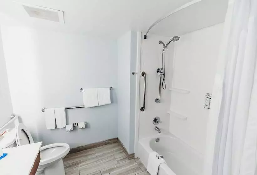 ホテル Holiday Inn Express Atlanta   Northeast I 85   Clairmont Road, An Ihg