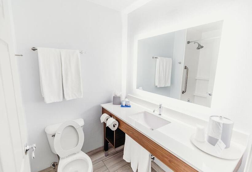 هتل Holiday Inn Express Atlanta Northeast I 85 Clairmont Road, An Ihg