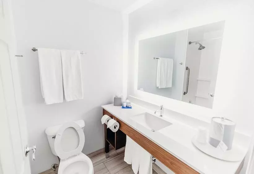 ホテル Holiday Inn Express Atlanta   Northeast I 85   Clairmont Road, An Ihg