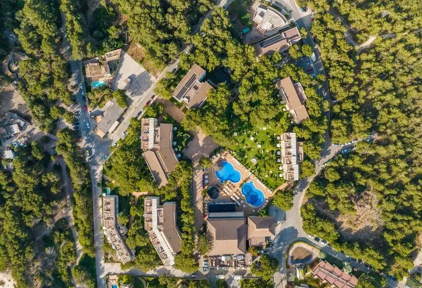 Отель Viva Cala Mesquida Suites & Spa 4* Sup - Adults Only 16+