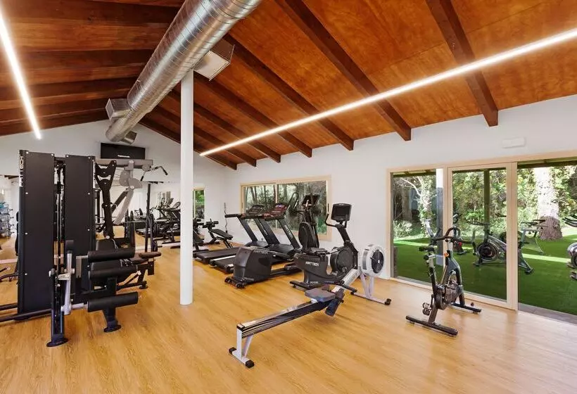 Отель Viva Cala Mesquida Suites & Spa 4* Sup - Adults Only 16+