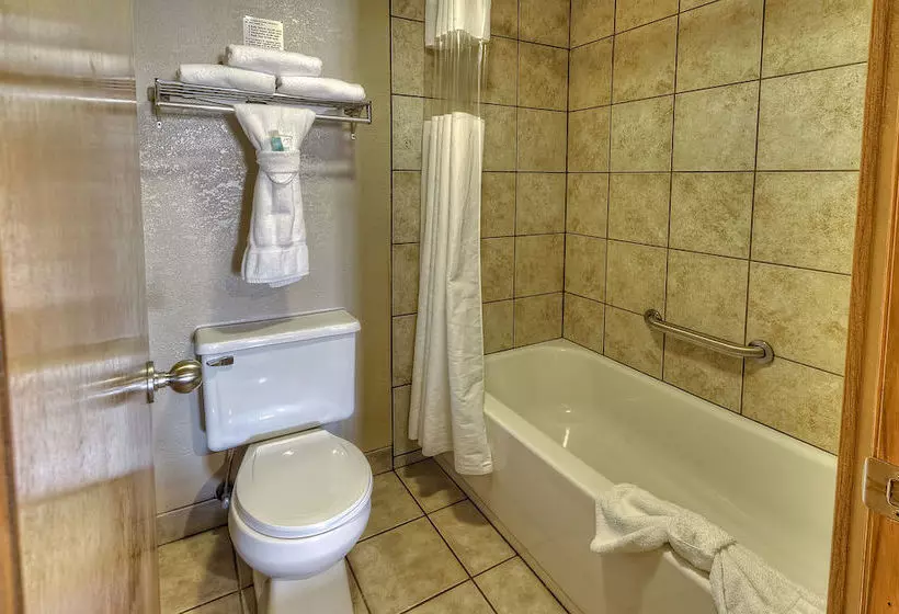 ホテル Accommodation By Willow Brook Lodge