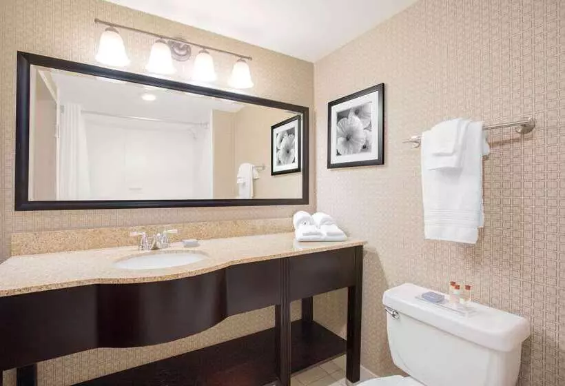 호텔 Wingate By Wyndham Rock Hill / Charlotte / Metro Area