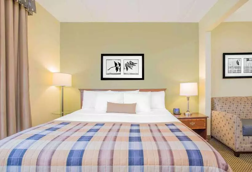 호텔 Wingate By Wyndham Rock Hill / Charlotte / Metro Area