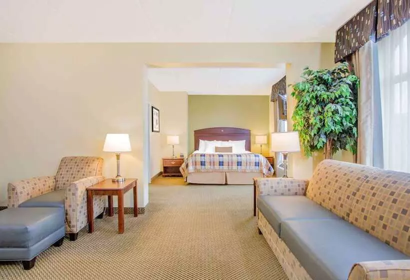 호텔 Wingate By Wyndham Rock Hill / Charlotte / Metro Area