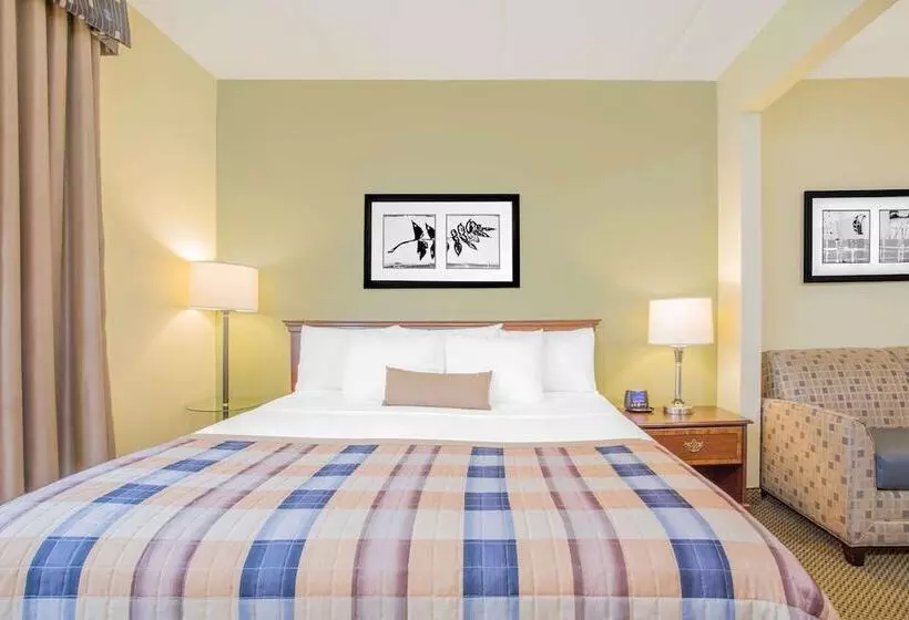 호텔 Wingate By Wyndham Rock Hill / Charlotte / Metro Area