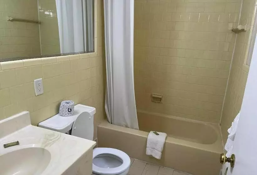 هتل Yorktown Motor Lodge