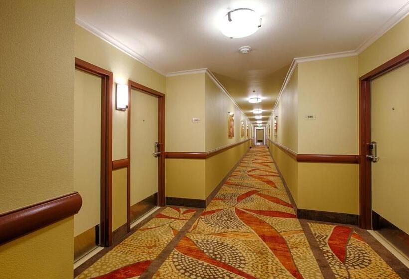 Winners Circle Resort