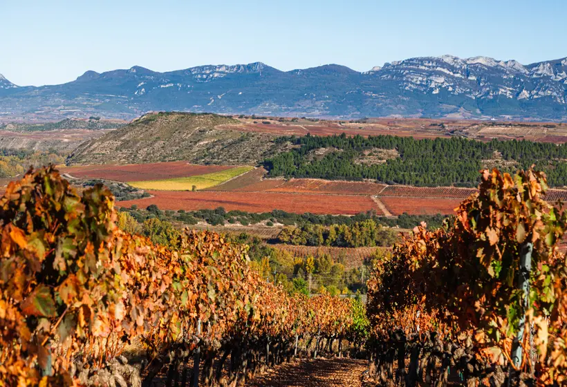 DWO Rioja Wine Hotel