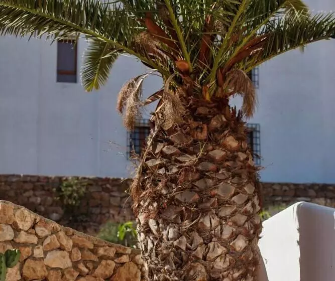 Boutique Hotel El Tio Kiko