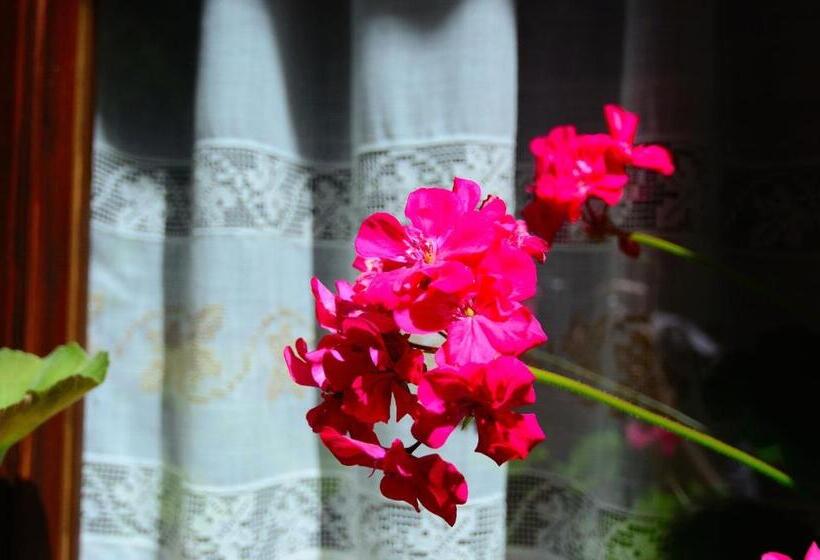 هتل Caserón De La Fuente